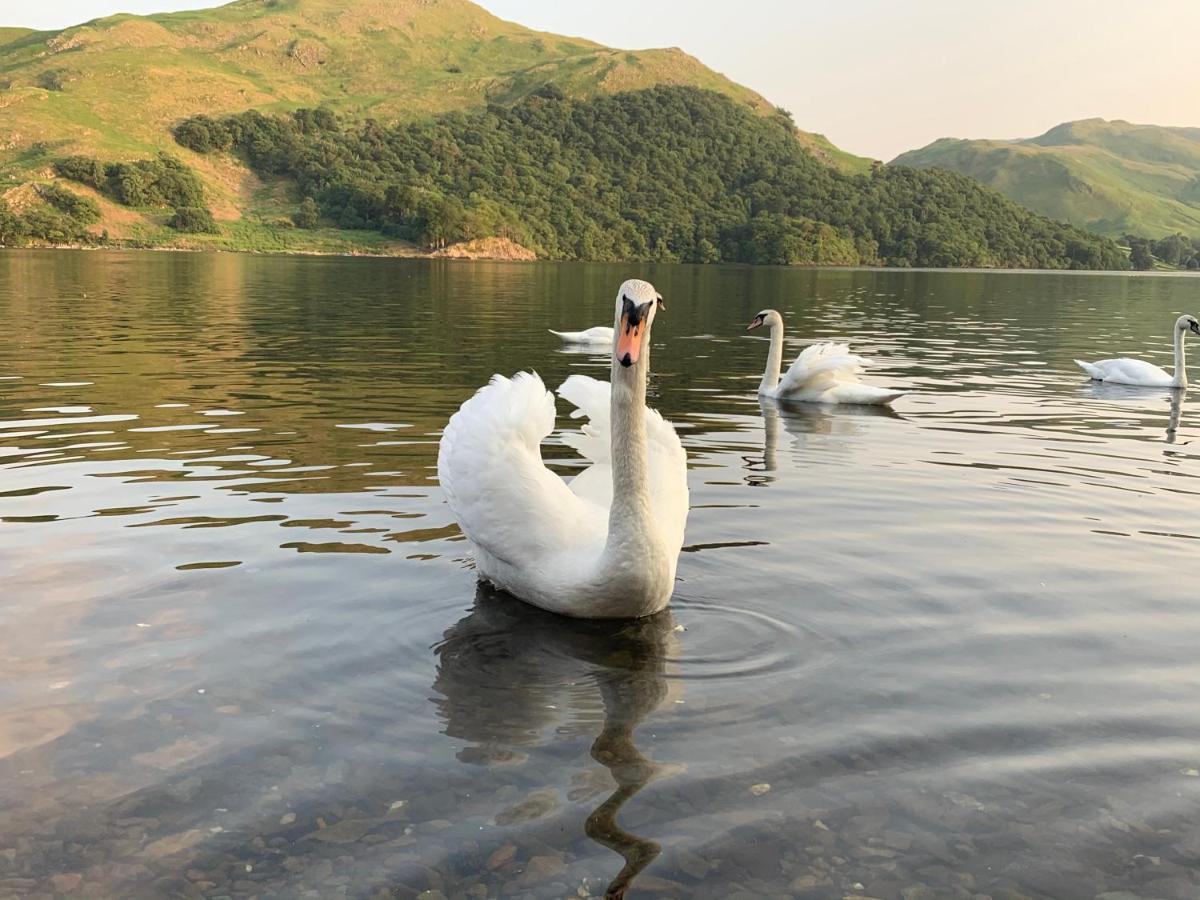 The Ullswater View Guest House Watermillock Eksteriør billede
